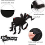 Spider Costume for Dogs and Cats,Halloween Party Dress Up - MekMart