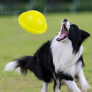 Indoor Gliding Squeaky Dog Toy - MekMart