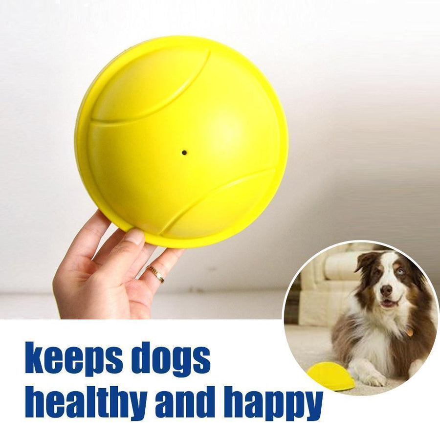 Indoor Gliding Squeaky Dog Toy - MekMart