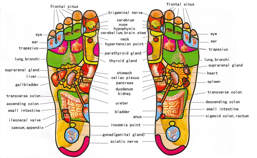 Wooden Roller Foot Massager - MekMart