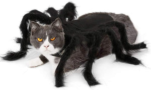 Spider Costume for Dogs and Cats，Halloween Party Dress Up - MekMart