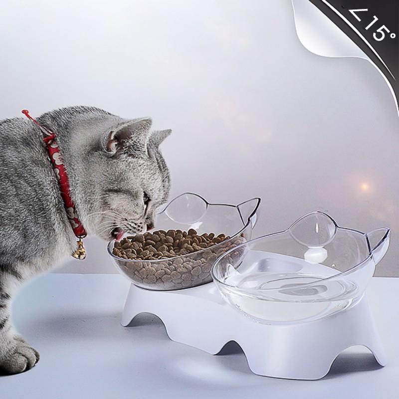 Anti-Vomiting Orthopedic Pet Bowl