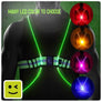 LED Safety Vest