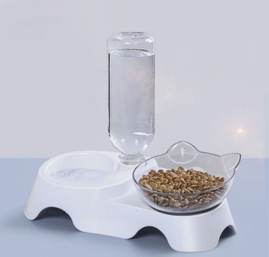 Anti-Vomiting Orthopedic Pet Bowl